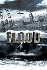 Flood (2007) Dual Audio {Hindi-English} BluRay 480p [380MB] | 720p [1GB] | 1080p [2.3GB]